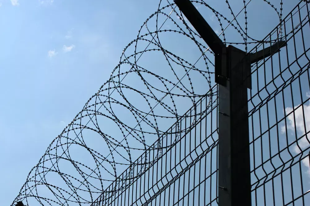 Why Egoza is installed on fences